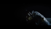 andsoonthedarkness50336.jpg