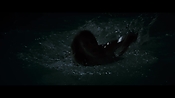 andsoonthedarkness50361.jpg