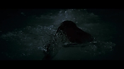 andsoonthedarkness50379.jpg