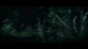 andsoonthedarkness50934.jpg