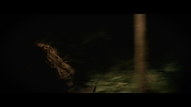 Filename=andsoonthedarkness51101.jpg
Filesize=179KiB
Dimensions=1920x1080
Date added=May 07, 2021 andsoonthedarkness51101.jpg