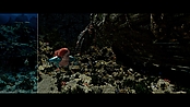 aquaman_jameswanworldbuilder_0159.jpg
