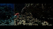 aquaman_jameswanworldbuilder_0160.jpg