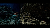 aquaman_jameswanworldbuilder_0162.jpg