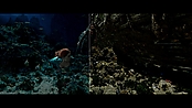 aquaman_jameswanworldbuilder_0163.jpg