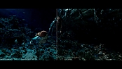 aquaman_jameswanworldbuilder_0223.jpg