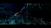 aquaman_jameswanworldbuilder_0224.jpg