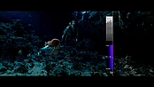 aquaman_jameswanworldbuilder_0227.jpg