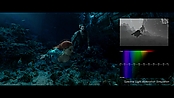 aquaman_jameswanworldbuilder_0319.jpg