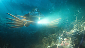aquaman04456.jpg