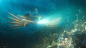 aquaman04457.jpg