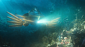 aquaman04458.jpg