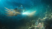aquaman04459.jpg