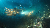 aquaman04460.jpg