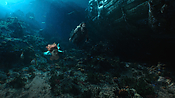 aquaman04554.jpg