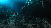 aquaman04559.jpg