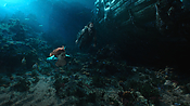 aquaman04561.jpg
