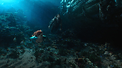 aquaman04563.jpg