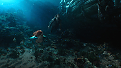 aquaman04564.jpg