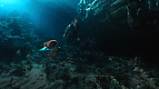 aquaman04566.jpg