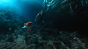 aquaman04567.jpg