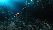aquaman04568.jpg