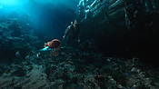aquaman04570.jpg