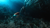 aquaman04572.jpg