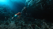 aquaman04574.jpg