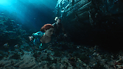 aquaman04585.jpg