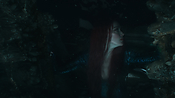 aquaman06304.jpg