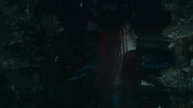 aquaman06306.jpg