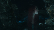 aquaman06323.jpg