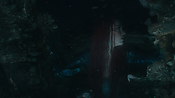 aquaman06325.jpg