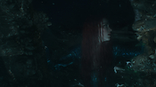 aquaman06330.jpg