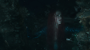 aquaman06341.jpg
