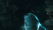 aquaman06372.jpg