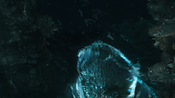aquaman06373.jpg
