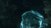 aquaman06374.jpg