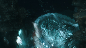aquaman06377.jpg