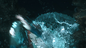 aquaman06378.jpg