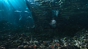 aquaman06382.jpg