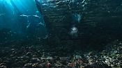 aquaman06383.jpg