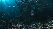 aquaman06390.jpg