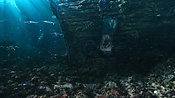 aquaman06391.jpg