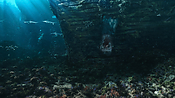 aquaman06392.jpg