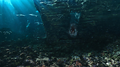 aquaman06393.jpg