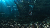 aquaman06394.jpg