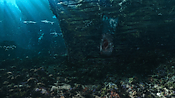 aquaman06395.jpg