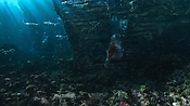 aquaman06398.jpg
